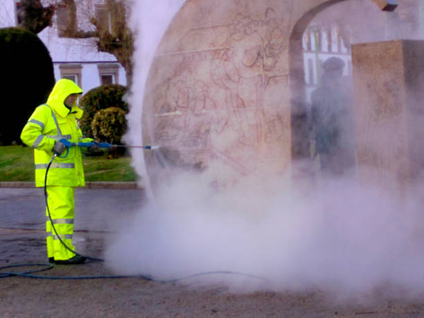 Best Roof Pressure Washing  in Haskins, OH
