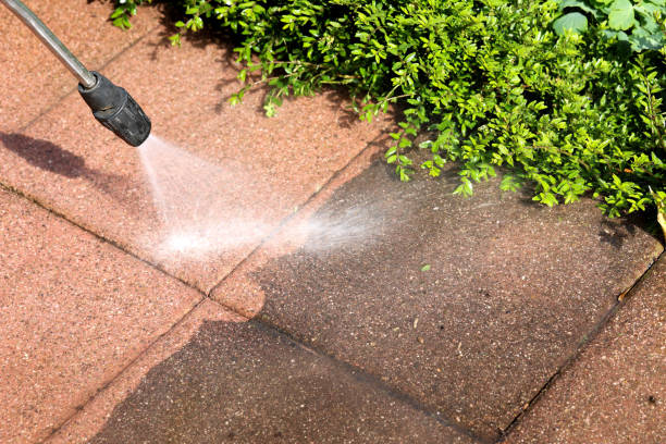 Best Roof Power Washing Services  in Haskins, OH